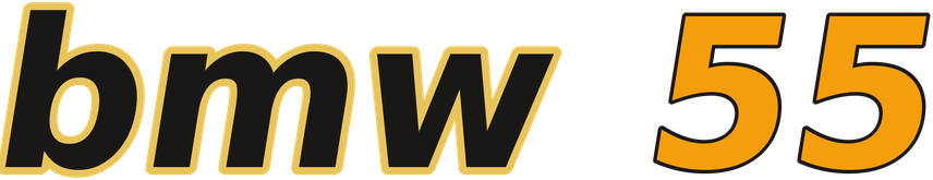 bmw 55 logo